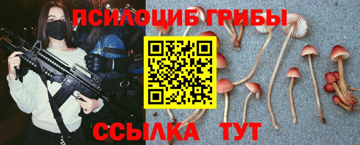 Псилоцибиновые грибы Cubensis  сколько стоит  Муром  Псилоцибиновые грибы мицелий  Вход с VPN 
